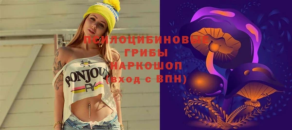 ALPHA-PVP Армянск