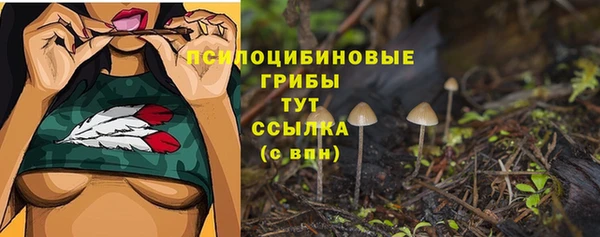 первитин Арсеньев