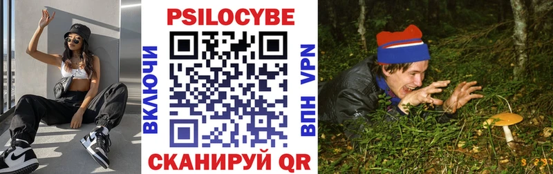 Псилоцибиновые грибы Magic Shrooms  Купить где  Йошкар-Ола 